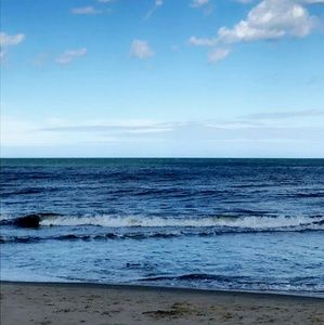 Meet your Posher, Gabby